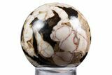 Polished Petrified Peanut Wood Sphere - Australia #341926-1